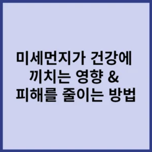 미세먼지가 건강에 끼치는 영향